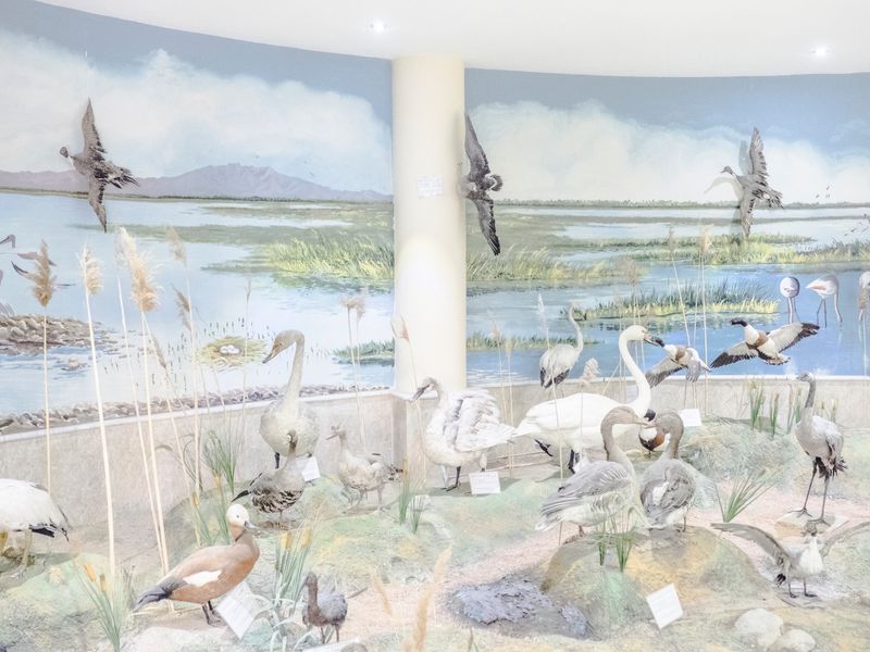 © Maximilian Mann - Image from the Fading Flamingos photography project