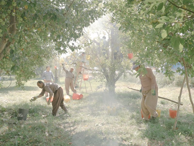 © Maximilian Mann - Image from the Fading Flamingos photography project