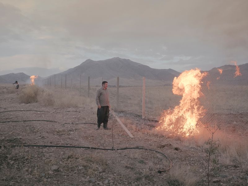 © Maximilian Mann - Image from the Fading Flamingos photography project