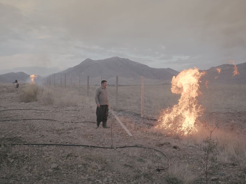 © Maximilian Mann - Image from the Fading Flamingos photography project
