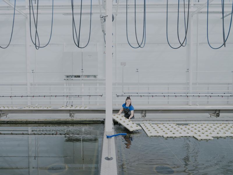 © Maximilian Mann - Image from the Between hope and dystopia photography project