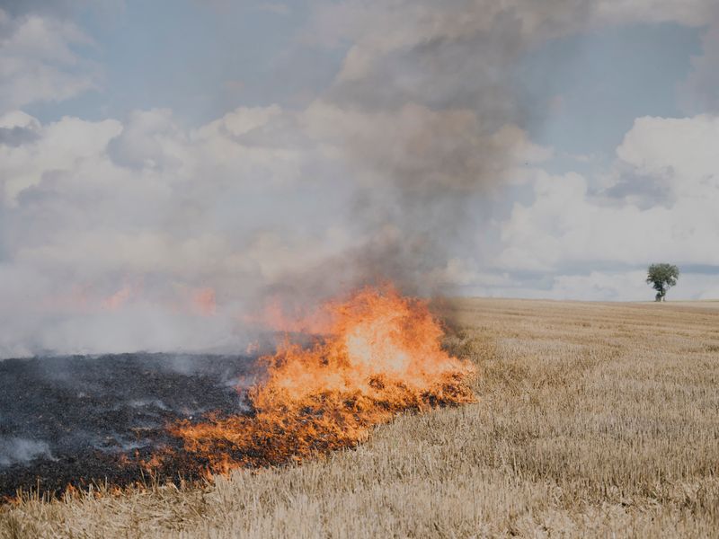 © Maximilian Mann - Image from the Between hope and dystopia photography project