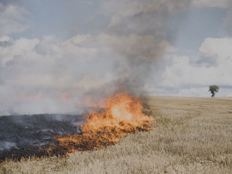 © Maximilian Mann - Image from the Between hope and dystopia photography project