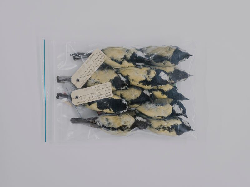 © Maximilian Mann - Image from the Between hope and dystopia photography project