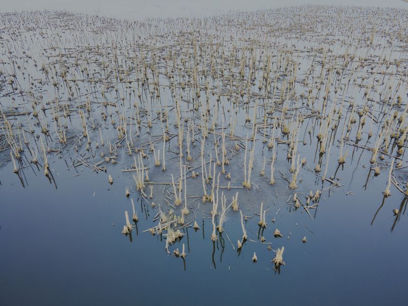 © Maximilian Mann - Image from the Between hope and dystopia photography project