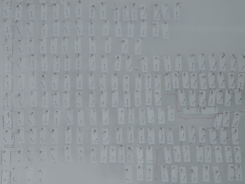 © Maximilian Mann - Image from the Between hope and dystopia photography project