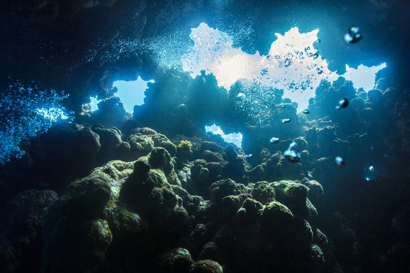 © Elisa Maenhout - Image from the A Depth Most Would Drown In photography project