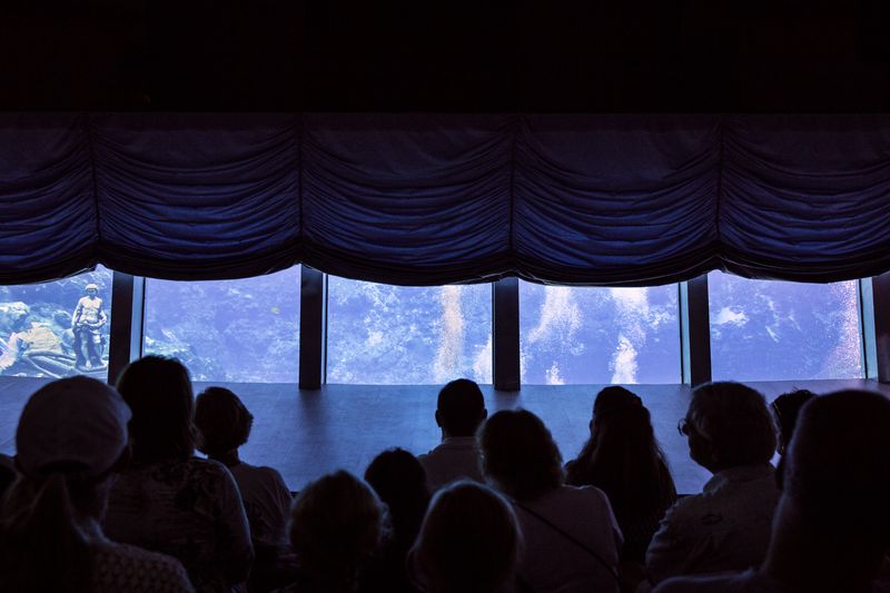 © Elisa Maenhout - Image from the A Depth Most Would Drown In photography project