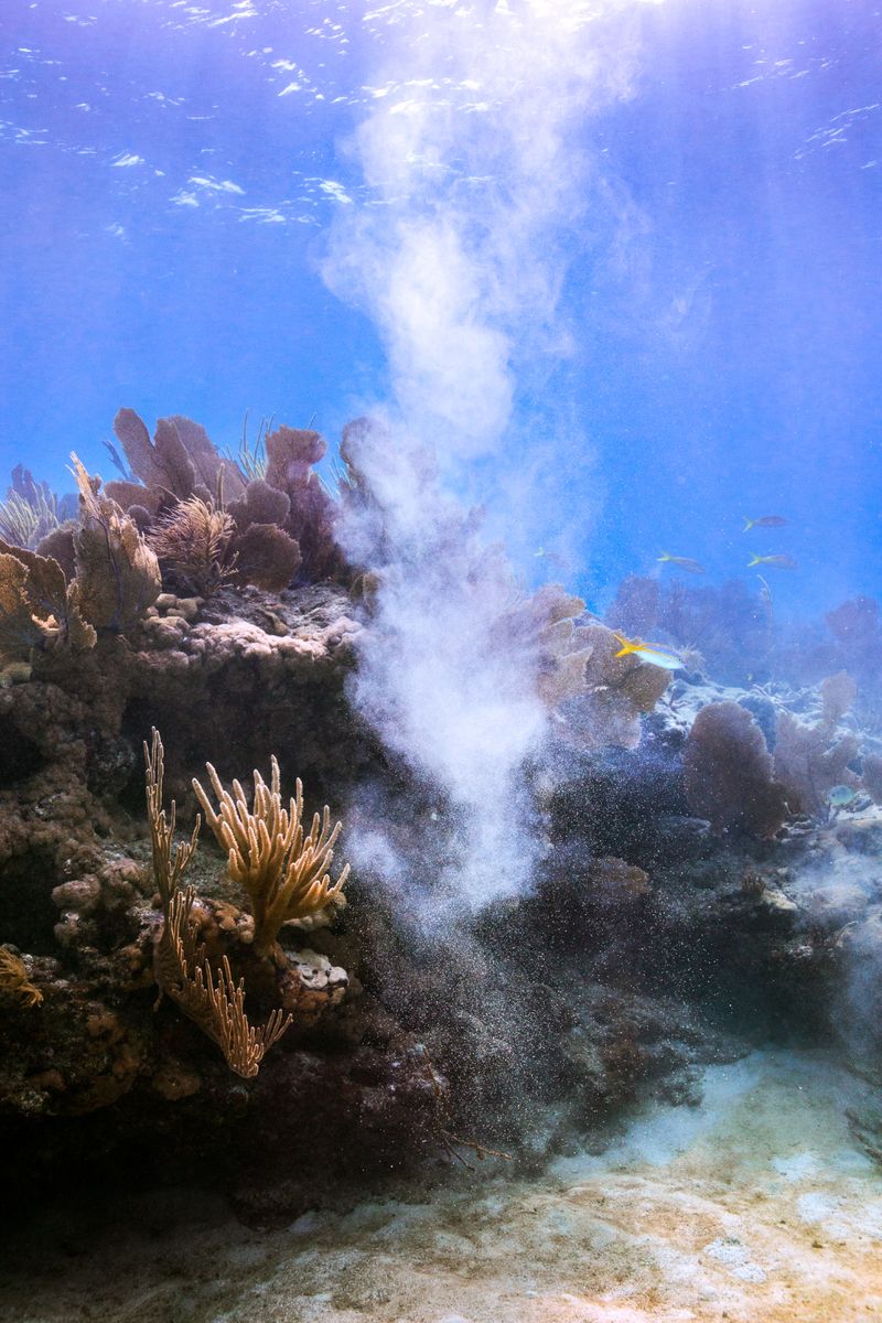 © Elisa Maenhout - Image from the A Depth Most Would Drown In photography project