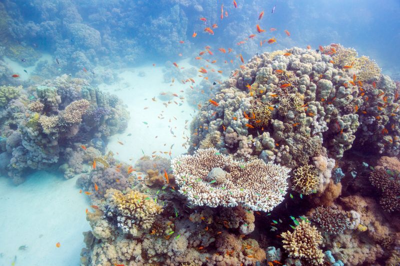 © Elisa Maenhout - Image from the A Depth Most Would Drown In photography project