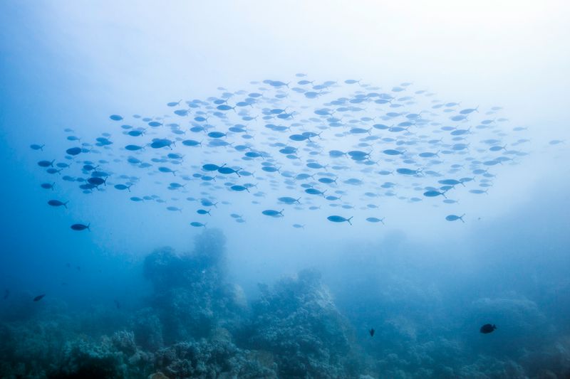 © Elisa Maenhout - Image from the Her mind swims at a depth most would drown in photography project