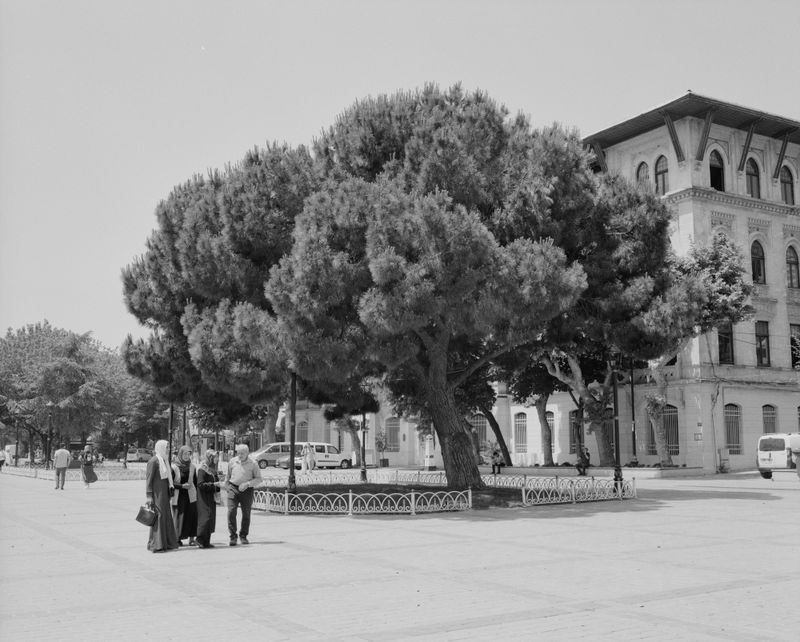 © Rebecca Topakian - Image from the Il Faut Que Les Braises De Constantinople S'envolent Jusqu'en Europe photography project