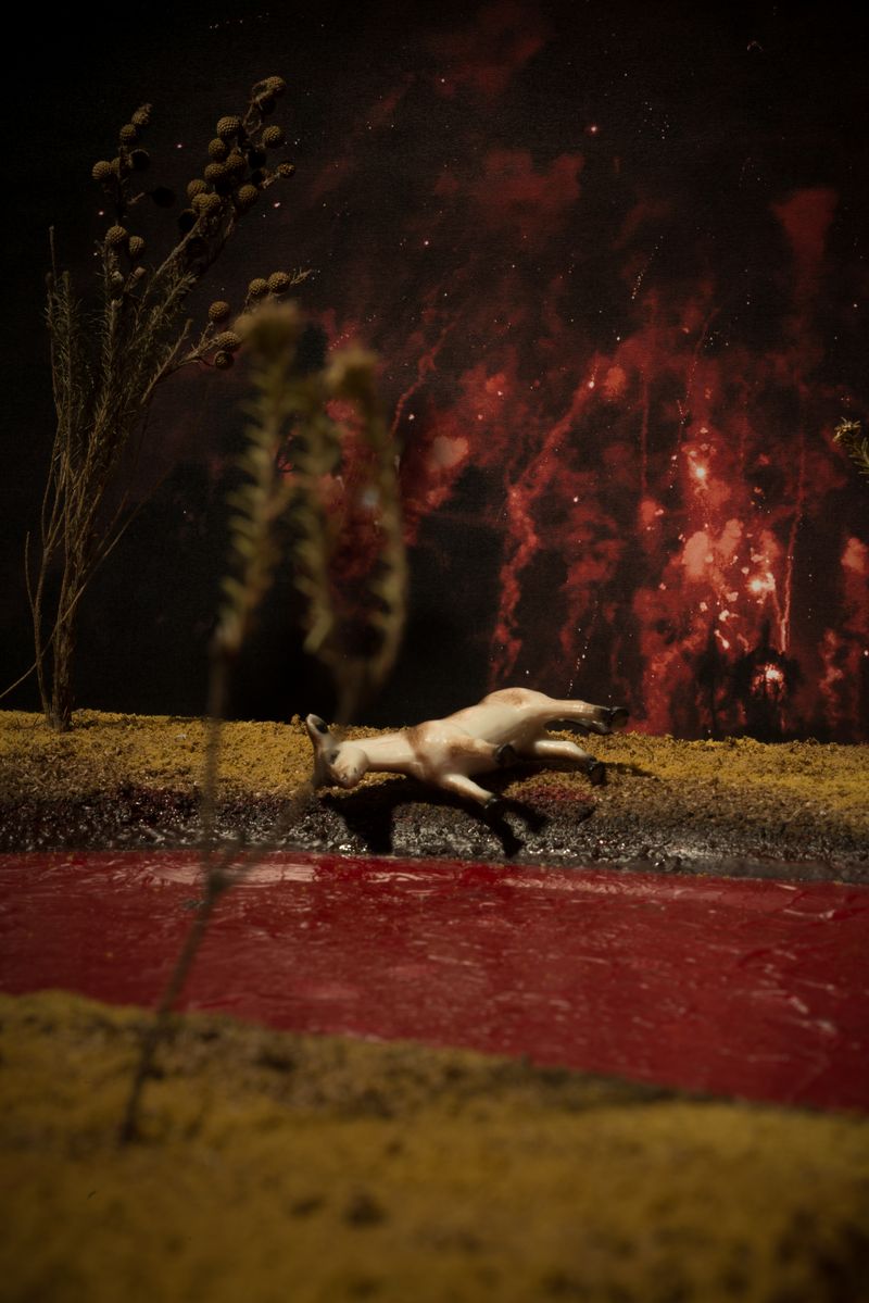 © Thero Makepe - Kgomo Tsaka Deile Kae? IV , 2019