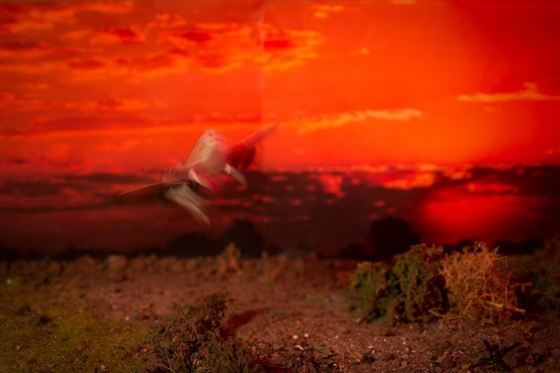 © Thero Makepe - Fly Machine VIII, 2018