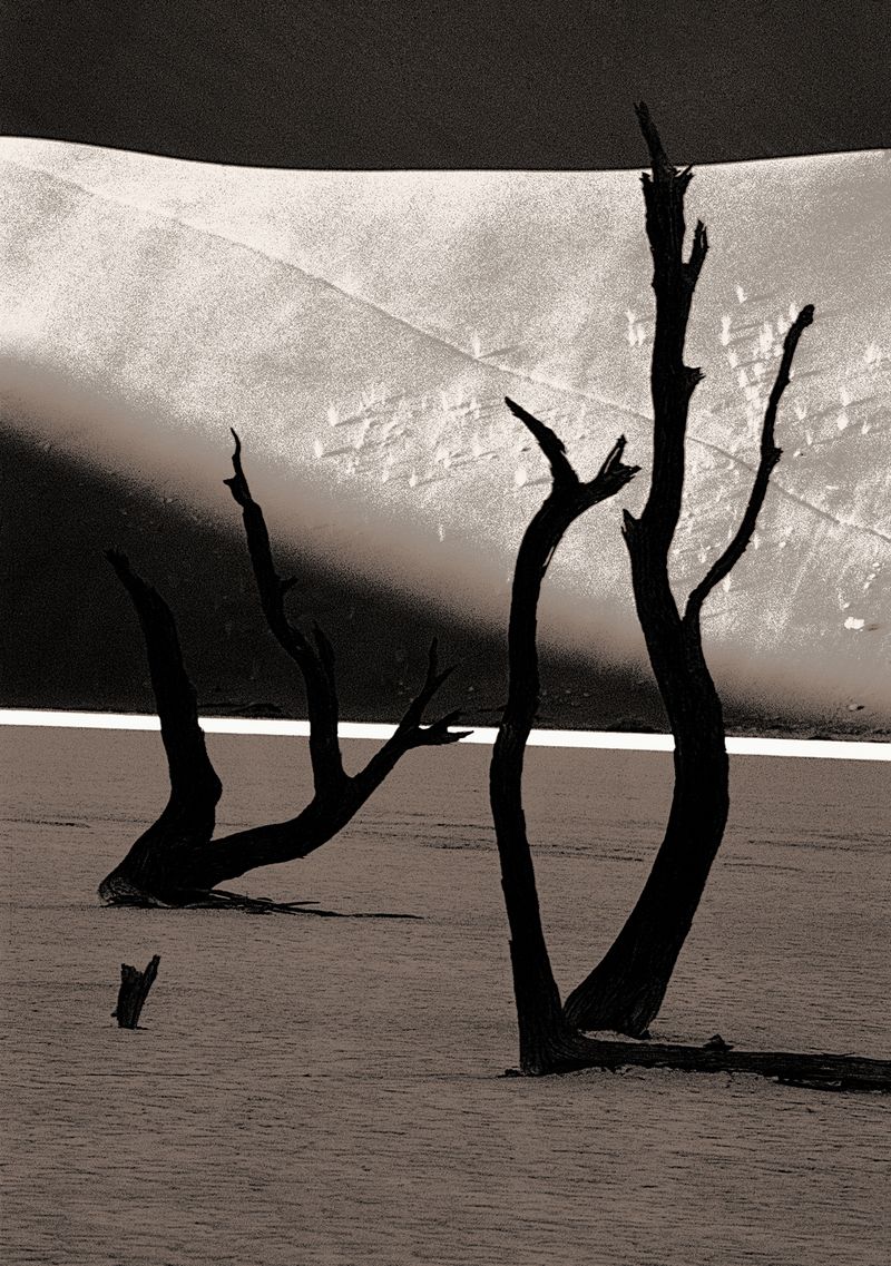 © Bettie Coetzee Lambrecht - Image from the Celebrating 10 Years of Image Making with Camera/Computer photography project