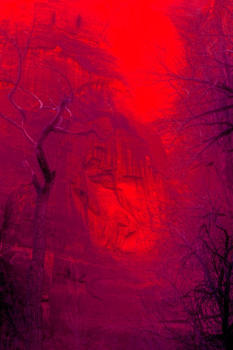 © Bettie Coetzee Lambrecht - Image from the Celebrating 10 Years of Image Making with Camera/Computer photography project