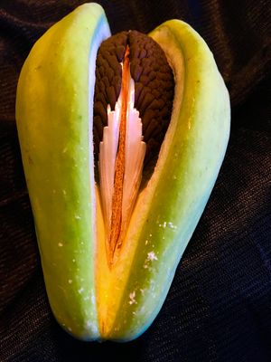 Seeds as Humans - Closer