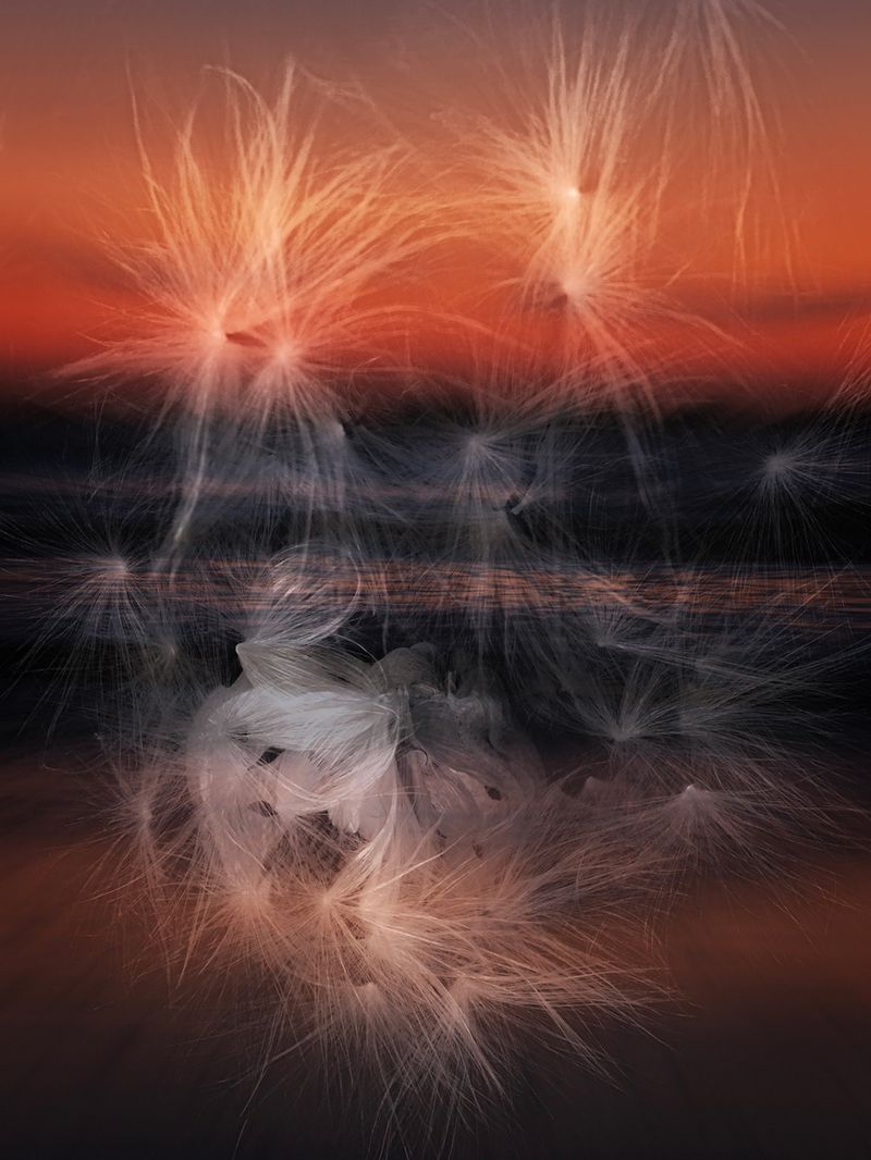 © Bettie Coetzee Lambrecht - Image from the Seeds as Humans - Closer photography project