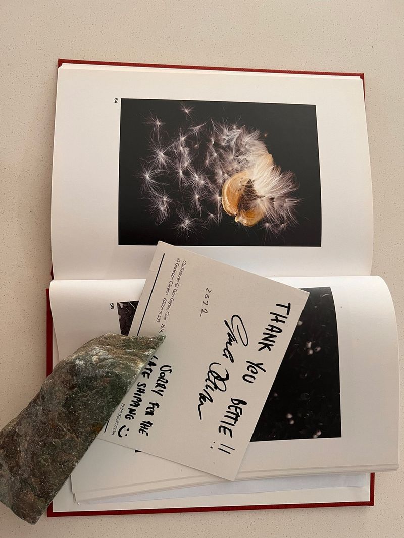 © Bettie Coetzee Lambrecht - Image from the Seeds as Humans - Closer photography project