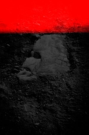 Stoned - Nature AS Us