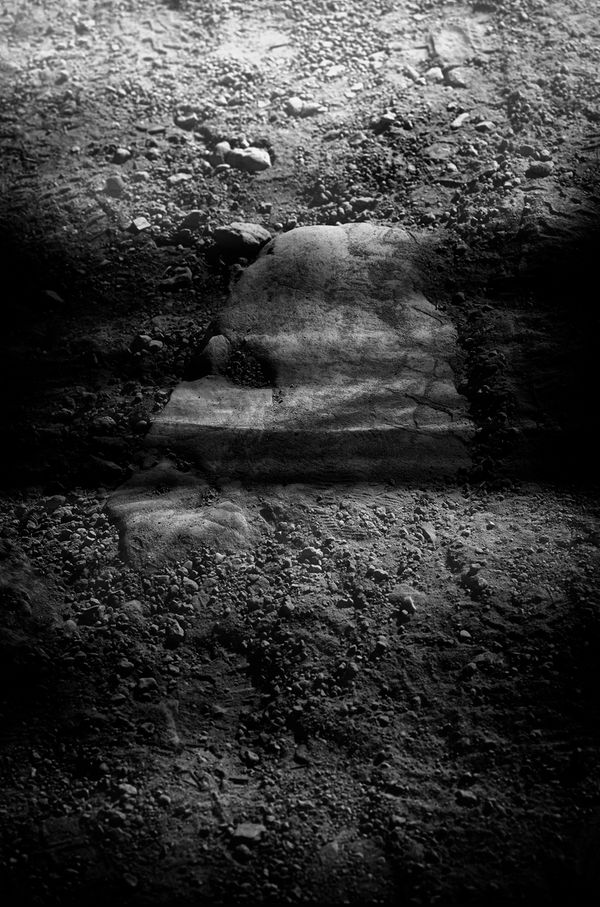 © Bettie Coetzee Lambrecht - Image from the Distorted NatureAsUs photography project