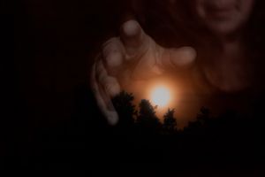 what's real - what's not