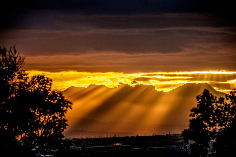 © Bettie Coetzee Lambrecht - Rays 1