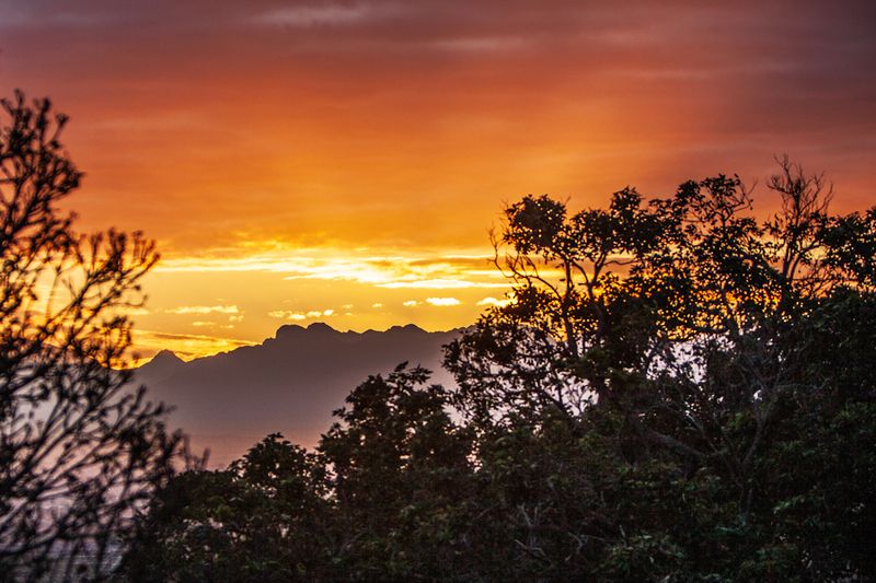 © Bettie Coetzee Lambrecht - Image from the what's real - what's not photography project