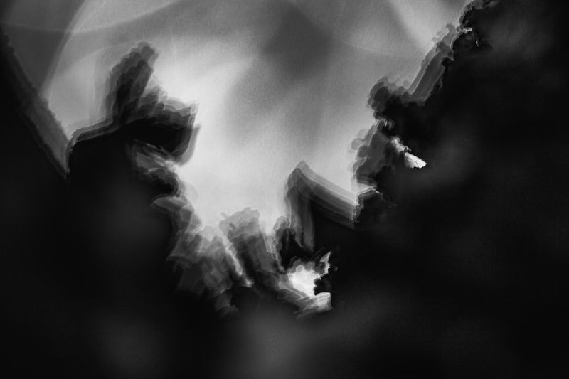 © Bettie Coetzee Lambrecht - Being Lichen