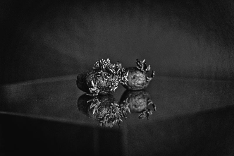 © Bettie Coetzee Lambrecht - Image from the Nothing is what it Seems to be photography project