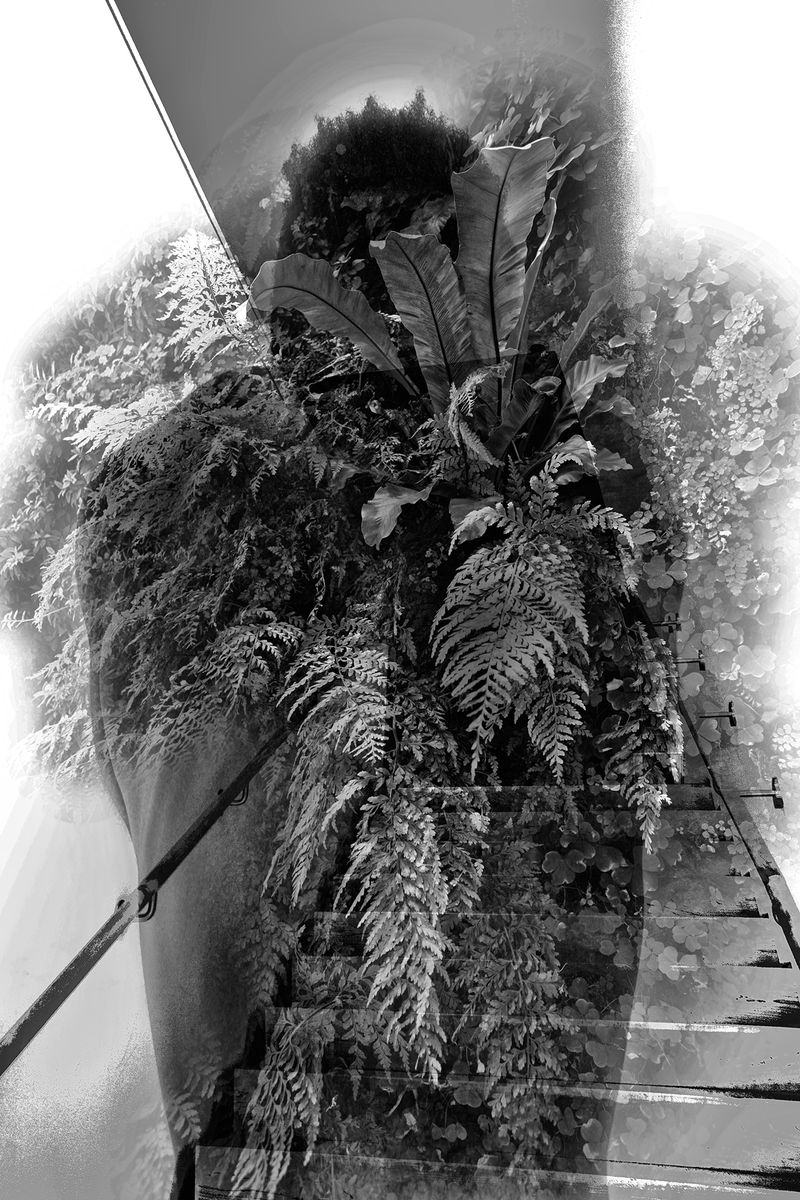 © Bettie Coetzee Lambrecht - Image from the Nothing is what it Seems to be photography project