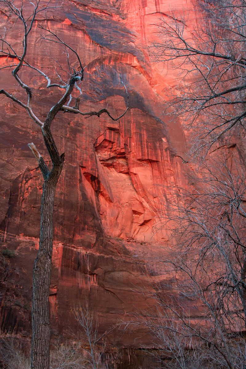 © Bettie Coetzee Lambrecht - Rock Face nature human