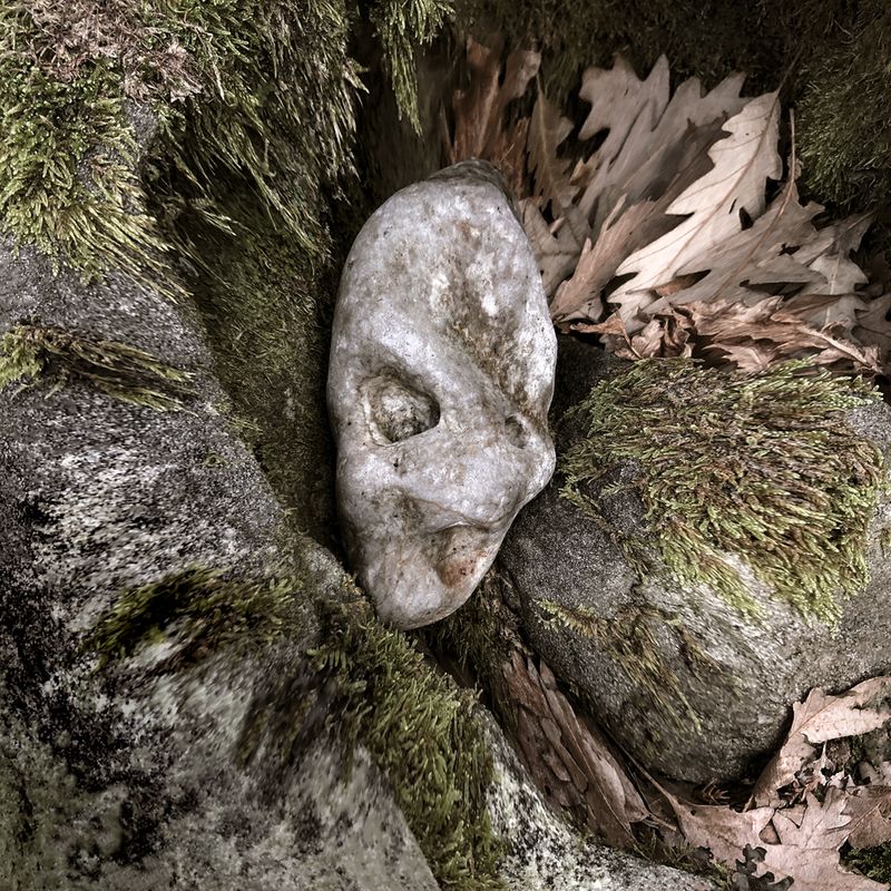 © Bettie Coetzee Lambrecht - Image from the Nature is I photography project