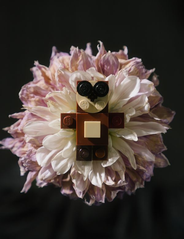 © Zhanar Kuzhakhmetova - Image from the Bricks of imagination photography project