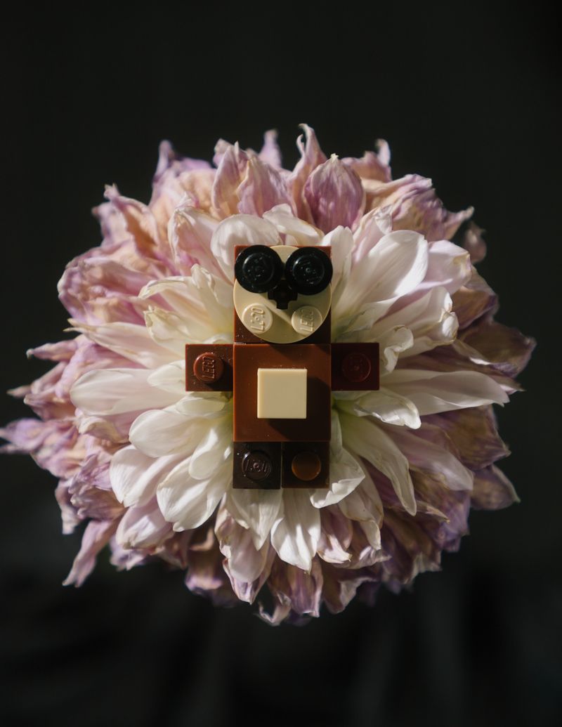 © Zhanar Kuzhakhmetova - Image from the Bricks of imagination photography project