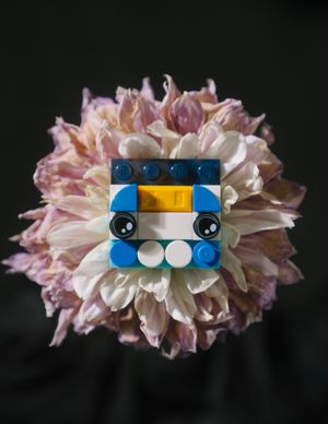 Bricks of imagination