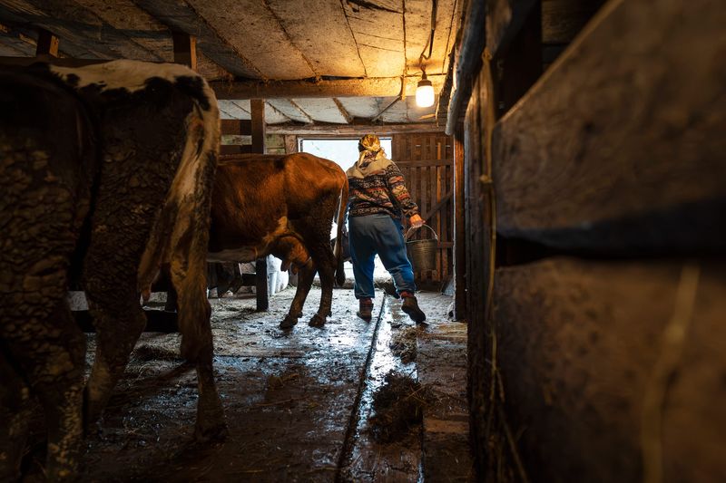 © Małgorzata Smieszek - Image from the The price of patriotism photography project