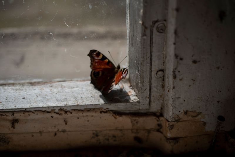 © Małgorzata Smieszek - Image from the Home photography project