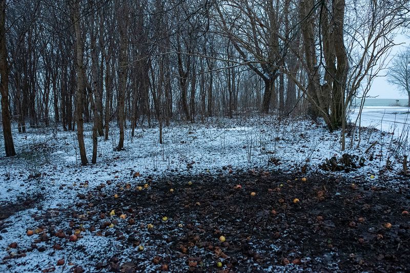 © Małgorzata Smieszek - Image from the Home photography project