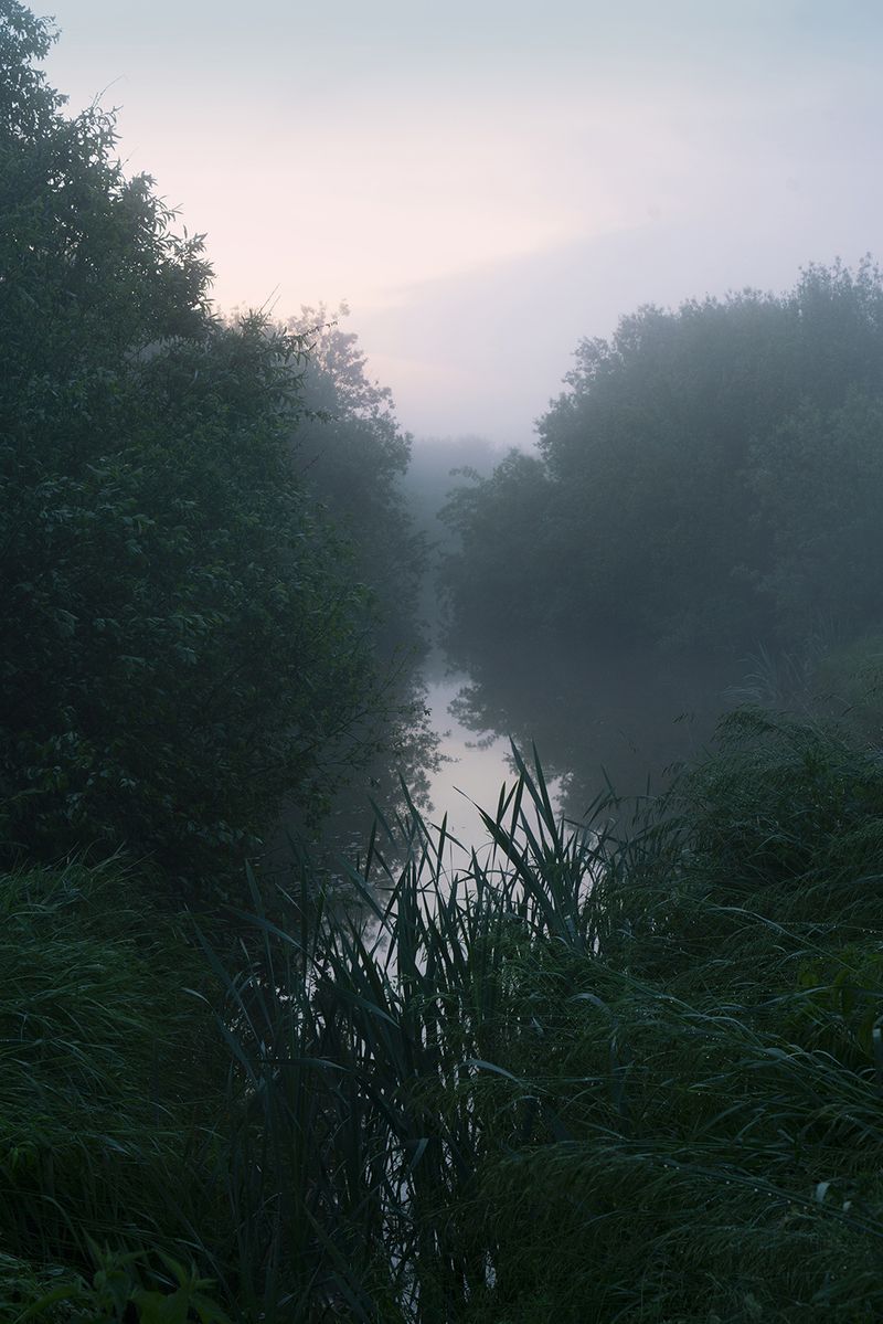 © Małgorzata Smieszek - Image from the Home photography project