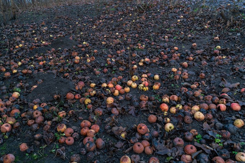 © Małgorzata Smieszek - Image from the Home photography project