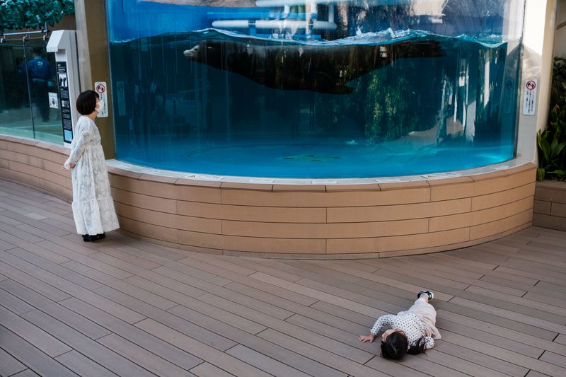 © George Nobechi - Sea Lion Encounter, Sunshine City, Tokyo 2023