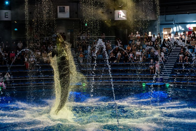 © George Nobechi - Pilot Whale "Tornado", Shinagawa, Tokyo 2020