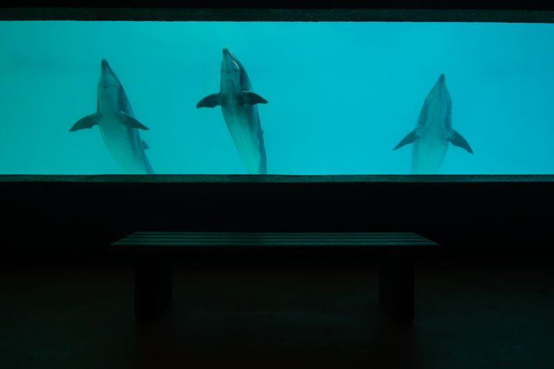 © George Nobechi - Dolphin Theatre, Otaru 2019