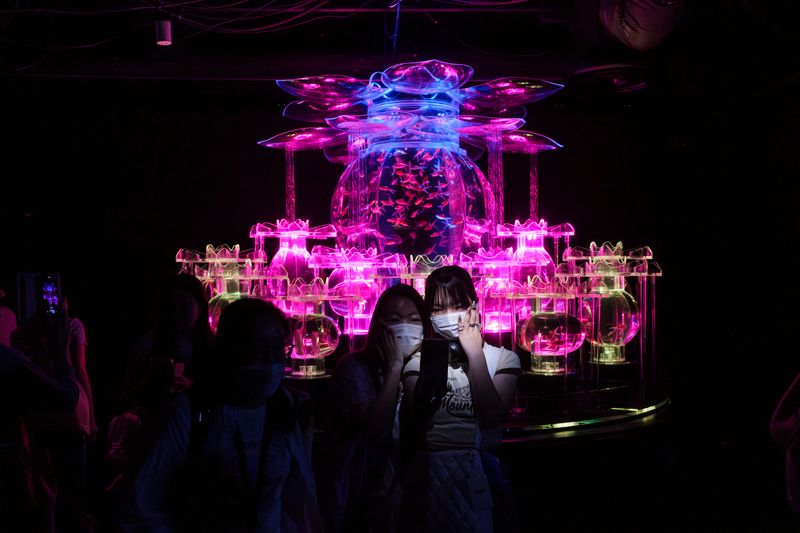 © George Nobechi - Self-Portrait, Goldfish Fashion Aquarium, Tokyo 2024