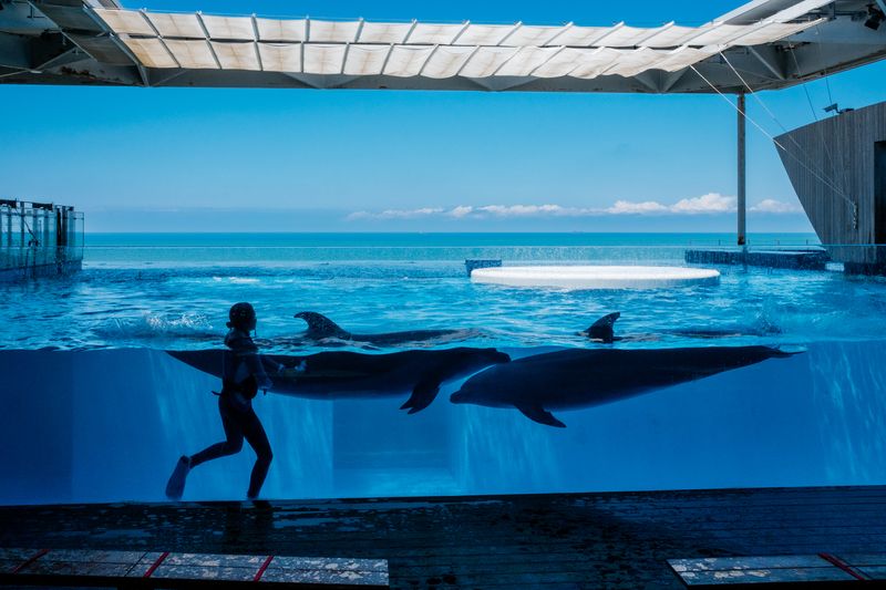 © George Nobechi - Training Hour at the Sea of Japan Tank, Joetsu 2023