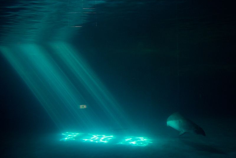 © George Nobechi - Window Light, Otaru 2019