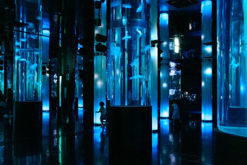 © George Nobechi - Jellyfish Room, Okinawa 2024