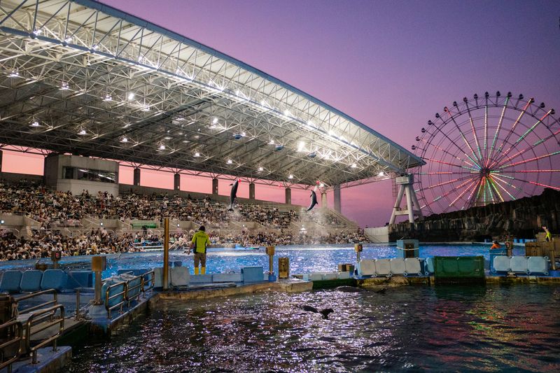 © George Nobechi - Dolphin Stadium, Nagoya 2024