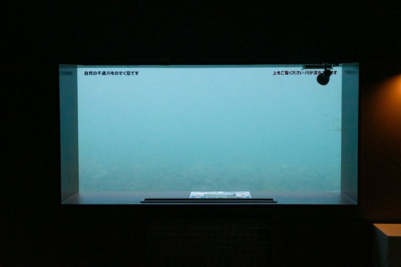© George Nobechi - Window to the Chitose River, Hokkaido 2024